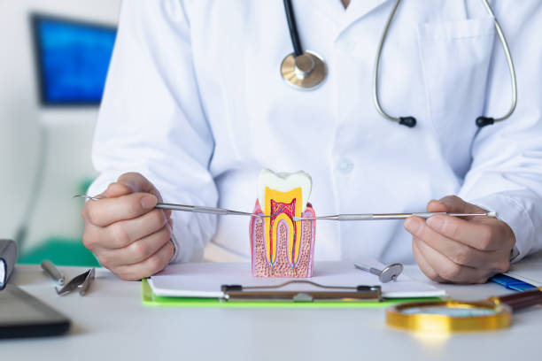 Best After-Hours Dental Trauma Care in Kennedy, CA